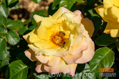 October 2019 / GH_191022-5334