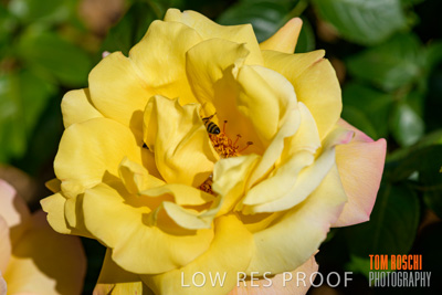 October 2019 / GH_191022-5339