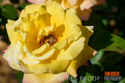 October 2019 / GH_191022-5343