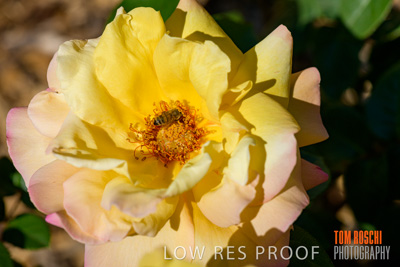 October 2019 / GH_191022-5348