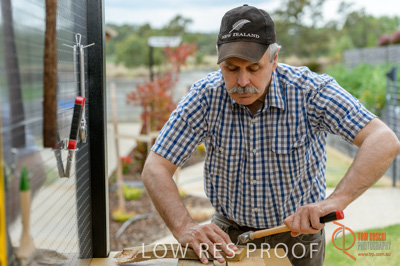 January 2017 / SHED_004_170130