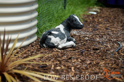 November 2017 / CHURCHILL_GDN_DETAILS_736_171106_TRP9612