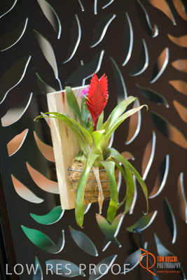 November 2017 / CHURCHILL_GDN_DETAILS_739_171106_TRP9615