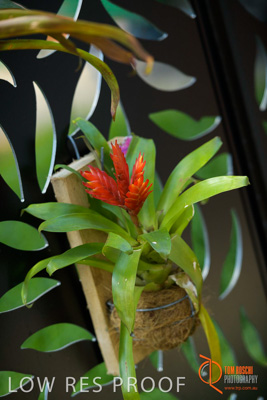 November 2017 / CHURCHILL_GDN_DETAILS_746_171106_TRP9622