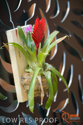 November 2017 / CHURCHILL_GDN_DETAILS_748_171106_TRP9624