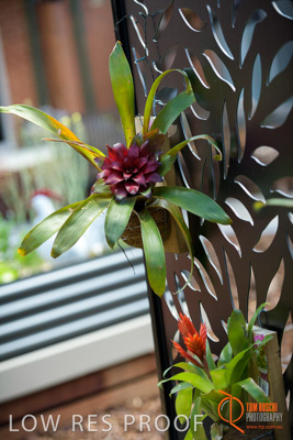 November 2017 / CHURCHILL_GDN_DETAILS_751_171106_TRP9627