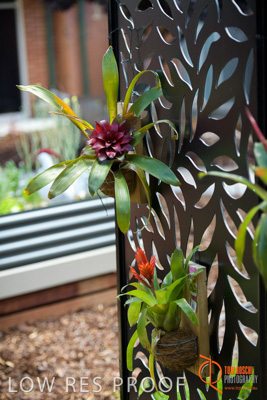 November 2017 / CHURCHILL_GDN_DETAILS_754_171106_TRP9630