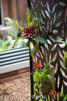 November 2017 / CHURCHILL_GDN_DETAILS_760_171106_TRP9636