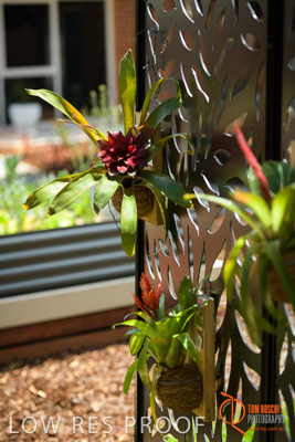 November 2017 / CHURCHILL_GDN_DETAILS_766_171106_TRP9642