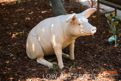 November 2017 / CHURCHILL_GDN_DETAILS_772_171106_TRP9648