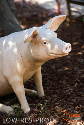 November 2017 / CHURCHILL_GDN_DETAILS_775_171106_TRP9651