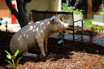 November 2017 / CHURCHILL_GDN_DETAILS_778_171106_TRP9654