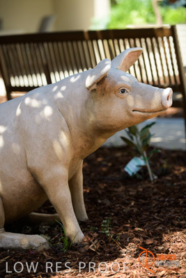 November 2017 / CHURCHILL_GDN_DETAILS_784_171106_TRP9660