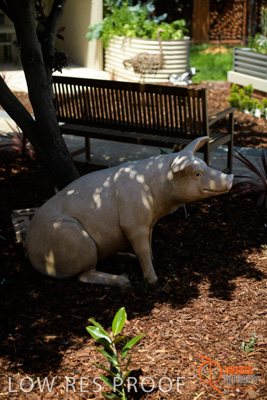 November 2017 / CHURCHILL_GDN_DETAILS_790_171106_TRP9666