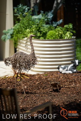 November 2017 / CHURCHILL_GDN_DETAILS_807_171106_TRP9683