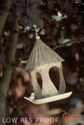 November 2017 / CHURCHILL_GDN_DETAILS_811_171106_TRP9687