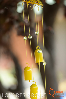 November 2017 / CHURCHILL_GDN_DETAILS_825_171106_TRP9701