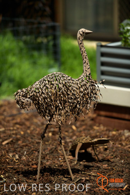 November 2017 / CHURCHILL_GDN_DETAILS_826_171106_TRP9702