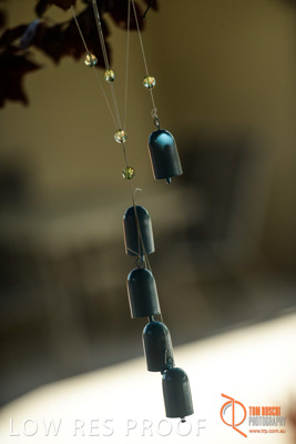 November 2017 / CHURCHILL_GDN_DETAILS_840_171106_TRP9716