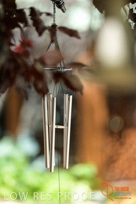 November 2017 / CHURCHILL_GDN_DETAILS_843_171106_TRP9719