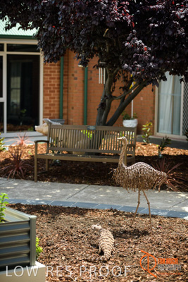 November 2017 / CHURCHILL_GDN_DETAILS_856_171106_TRP9732