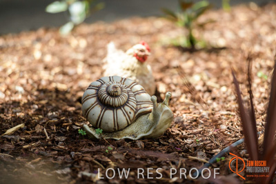 November 2017 / CHURCHILL_GDN_DETAILS_864_171106_TRP9740