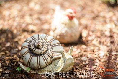 November 2017 / CHURCHILL_GDN_DETAILS_867_171106_TRP9743