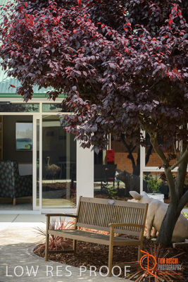 November 2017 / CHURCHILL_GDN_DETAILS_886_171106_TRP9762