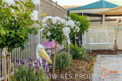 November 2017 / ROSE_COURT_EAST_GDN_1546_171108_TRP0382