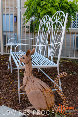 November 2017 / ROSE_COURT_EAST_GDN_1603_171108_TRP0439