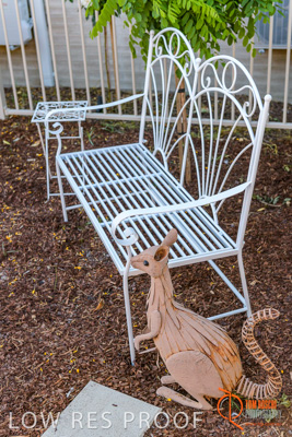 November 2017 / ROSE_COURT_EAST_GDN_1611_171108_TRP0447