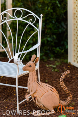 November 2017 / ROSE_COURT_EAST_GDN_1642_171108_TRP0478