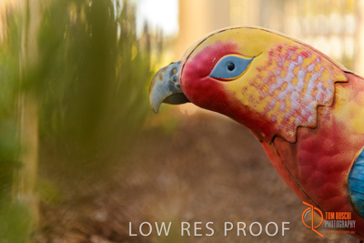 November 2017 / ROSE_COURT_EAST_GDN_1654_171108_TRP0490