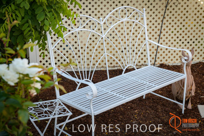 November 2017 / ROSE_COURT_EAST_GDN_1746_171108_TRP0582