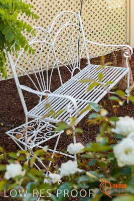 November 2017 / ROSE_COURT_EAST_GDN_1764_171108_TRP0600