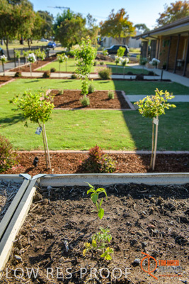 November 2017 / ROSE_COURT_WEST_GDN_1878_171108_TRP0714