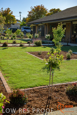 November 2017 / ROSE_COURT_WEST_GDN_1893_171108_TRP0729