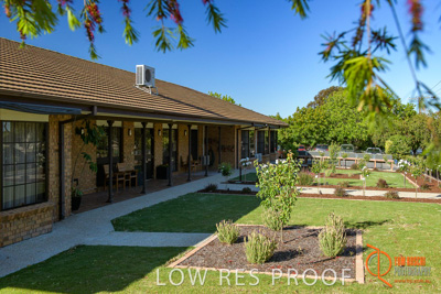 November 2017 / ROSE_COURT_WEST_GDN_1930_171108_TRP0766