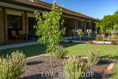 November 2017 / ROSE_COURT_WEST_GDN_1951_171108_TRP0787