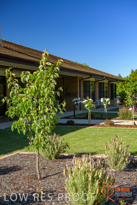 November 2017 / ROSE_COURT_WEST_GDN_1956_171108_TRP0792