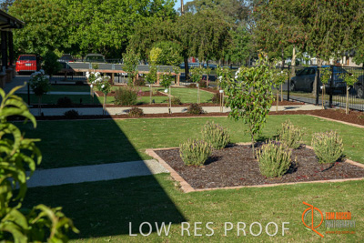 November 2017 / ROSE_COURT_WEST_GDN_1968_171108_TRP0804