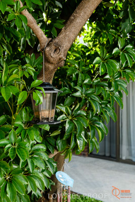 June 2018 / CHRISTIES_BEACH_034_180606