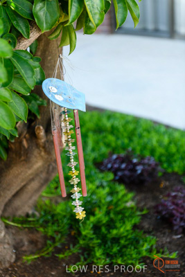 June 2018 / CHRISTIES_BEACH_035_180606