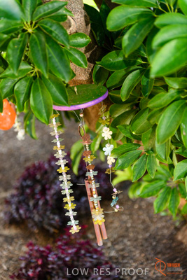 June 2018 / CHRISTIES_BEACH_036_180606