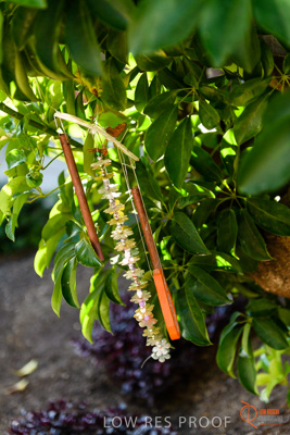 June 2018 / CHRISTIES_BEACH_038_180606