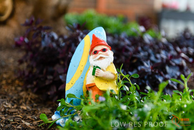 June 2018 / CHRISTIES_BEACH_039_180606