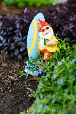 June 2018 / CHRISTIES_BEACH_040_180606