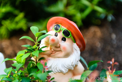 June 2018 / CHRISTIES_BEACH_042_180606