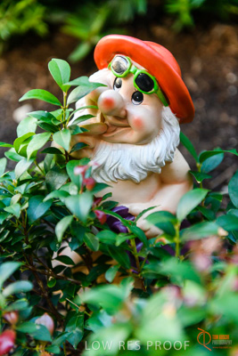 June 2018 / CHRISTIES_BEACH_043_180606