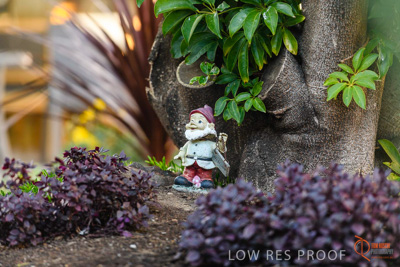 June 2018 / CHRISTIES_BEACH_044_180606